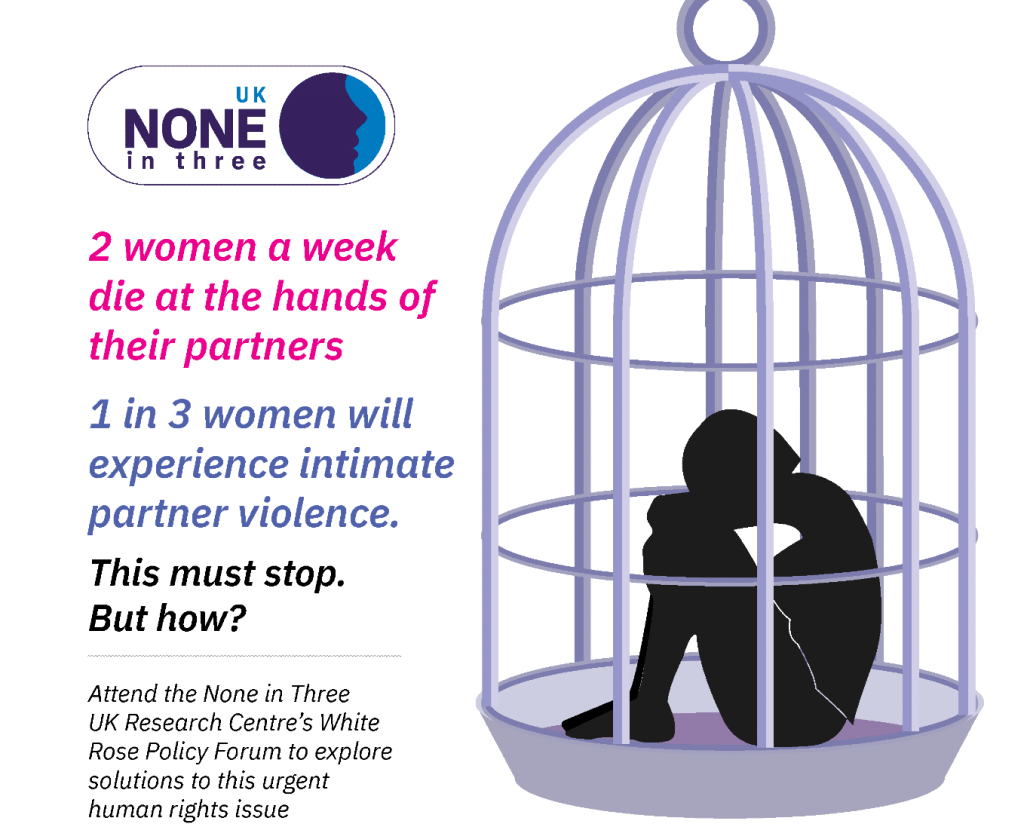 Flyer for Ni3 UK policy event on Monday 8th March